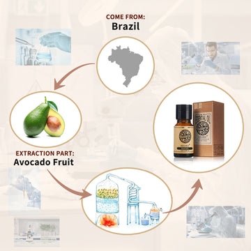 AKARZ Avocado Carrier Oil - High-Quality Body & Face Care - Moisturizing, Anti-Aging, and Skin Repair Properties - Imported from Brazil